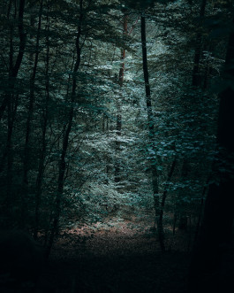 BENJAMIN ACHOUR